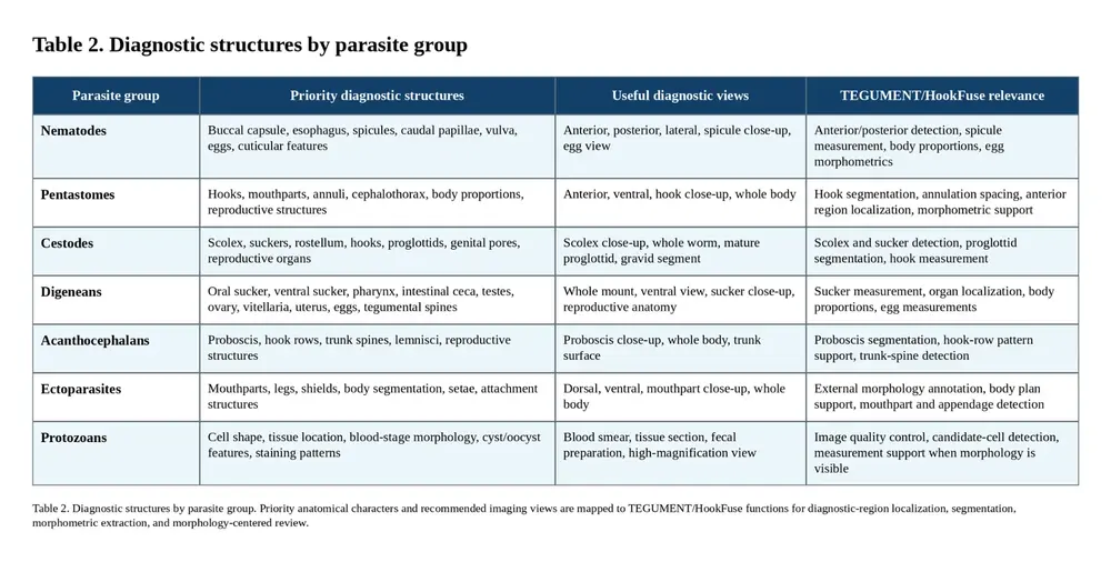 Diagnostic structures by parasite group