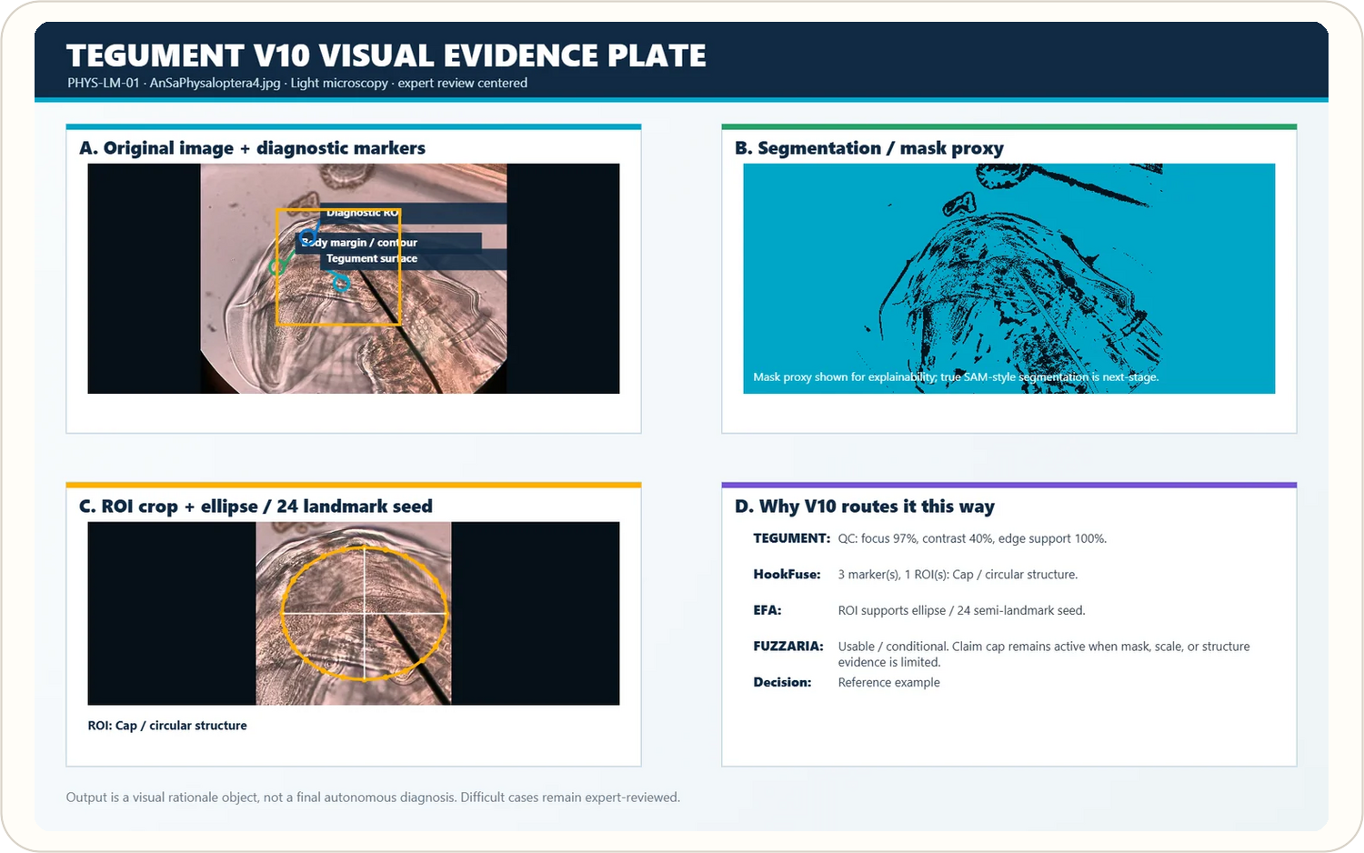Evidence plate