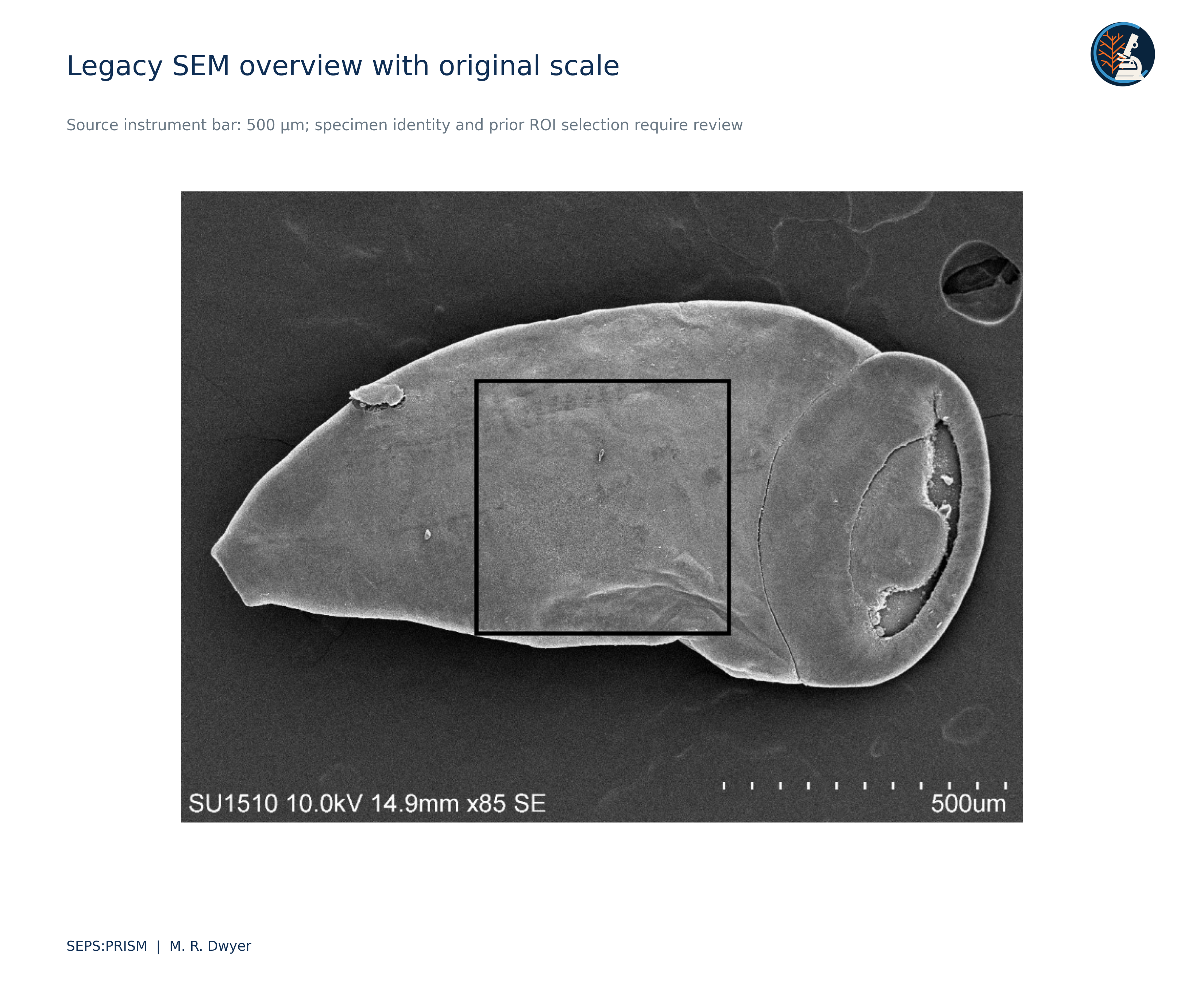 SEM morphology and calibration: accompanying scientific figure
